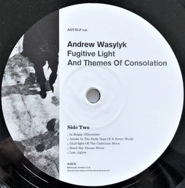 Andrew Wasylyk - Fugitive Light And Themes Of Consolation (LP)