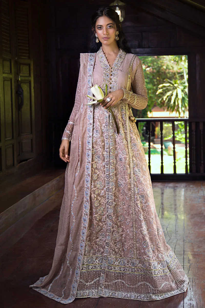 Mushq Roohi Luxury Wedding Formals – Janvi