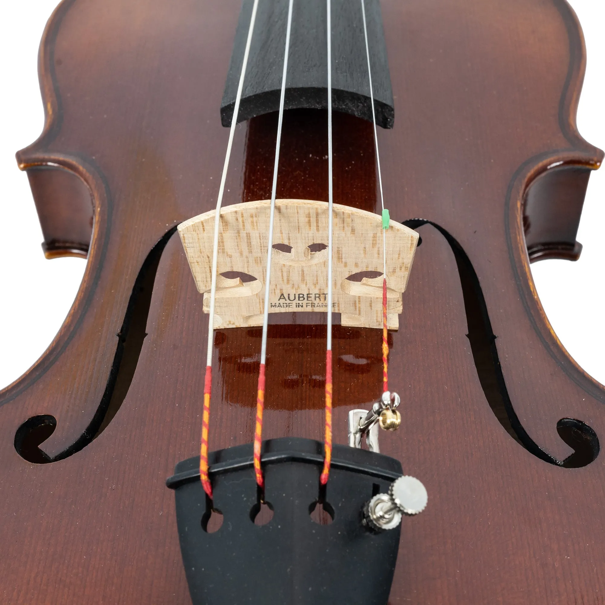 The Antonio Giuliani Violin Outfit